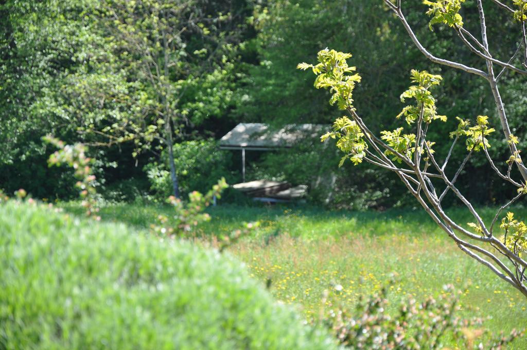 La Bergerie Bed & Breakfast Pollionnay Екстериор снимка