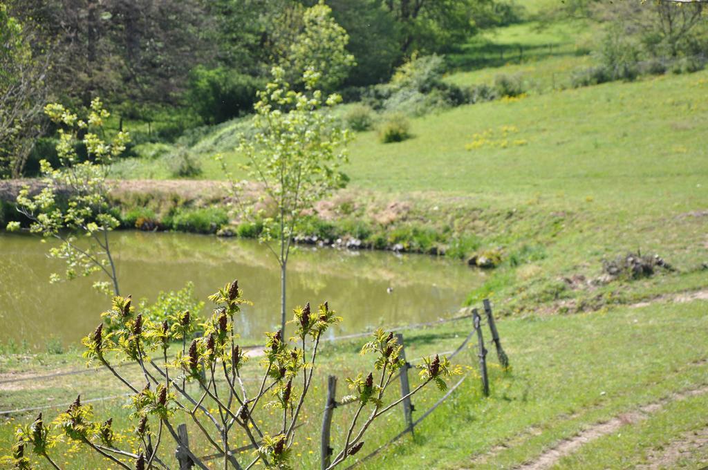 La Bergerie Bed & Breakfast Pollionnay Екстериор снимка