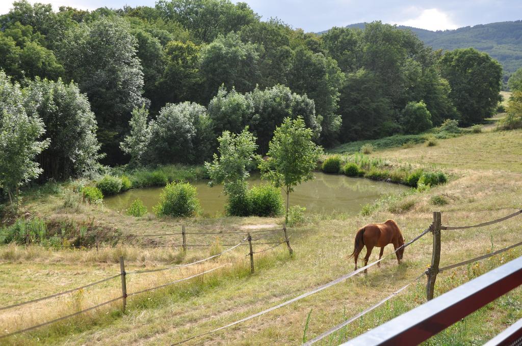 La Bergerie Bed & Breakfast Pollionnay Екстериор снимка
